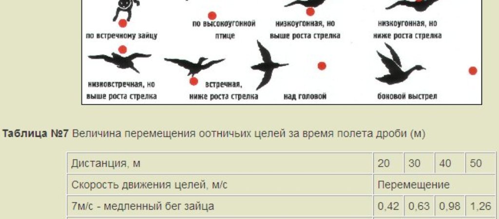 Научись метко стрелять!