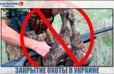 Закрытие охоты на Украине в 2014 году.Будет мораторий или нет?