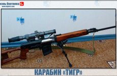 Хорош или нет карабин «Тигр» ?