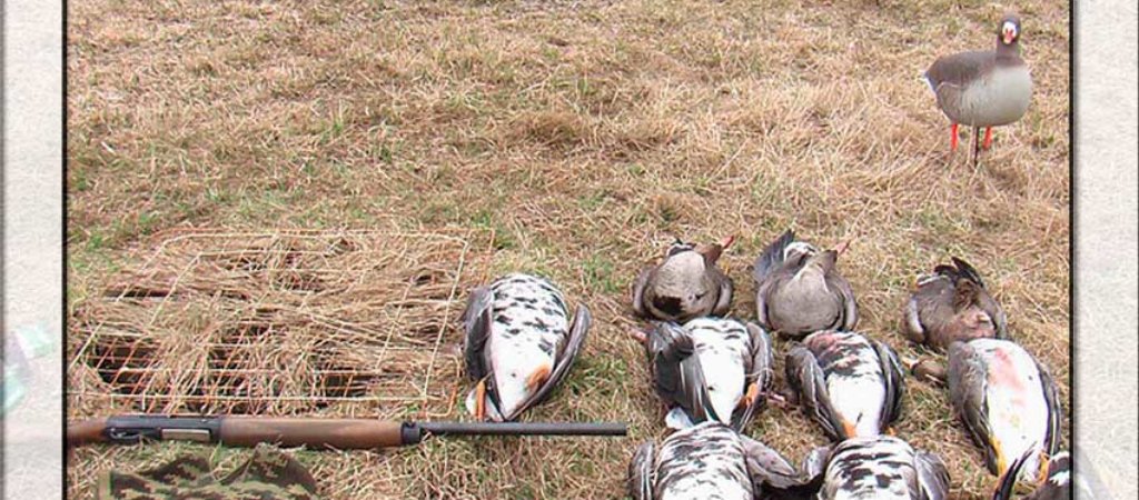 Секреты маскировки в поле во время охоты на гуся!