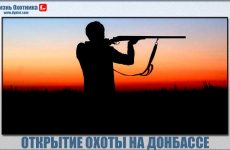 Будет ли открытие охоты на Донбассе?