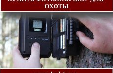 Купить фотоловушку для охоты