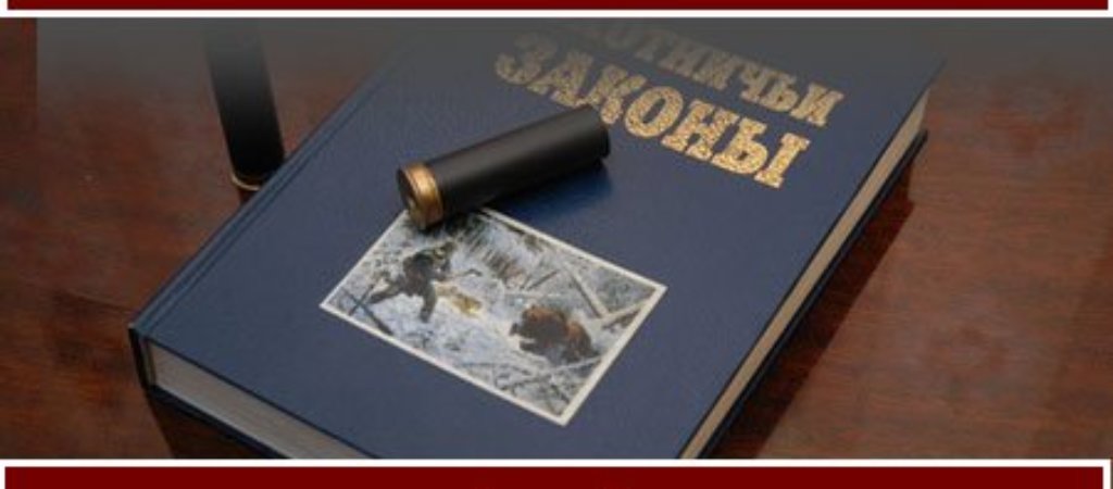 Закон охотника