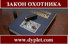 Закон охотника