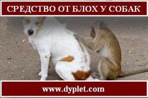 средство от блох у собак