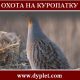 Охота на куропатку