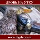 Дробь на утку
