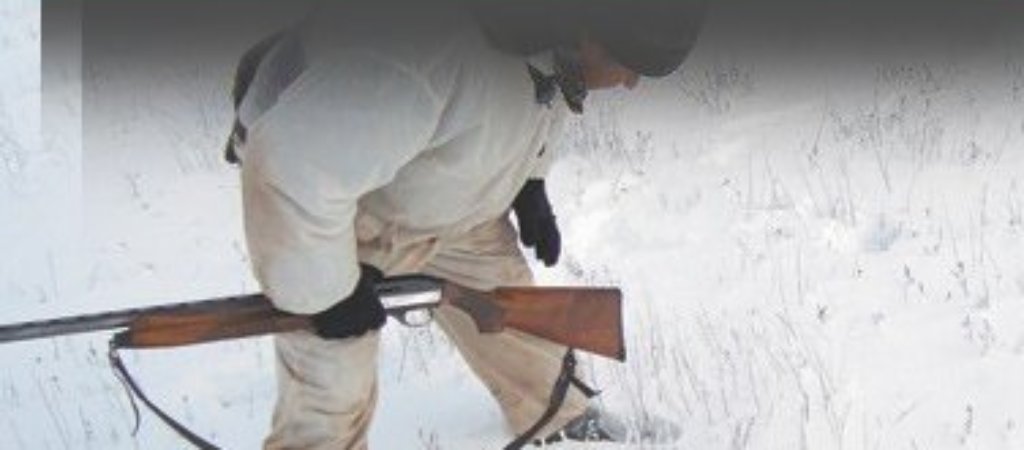 Лёжка зайца