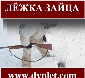 лёжка зайца