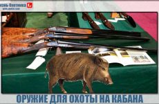 Оружие для охоты на кабана