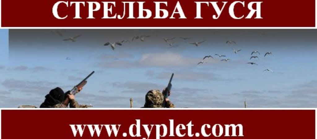 Стрельба гуся