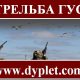 Стрельба гуся
