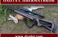 Охота с пневматикой