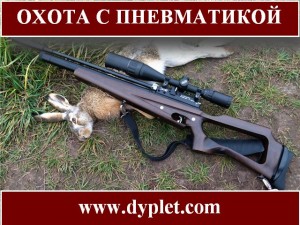 Охота с пневматикой