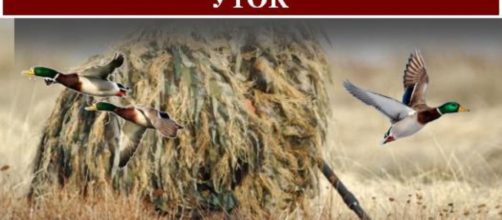 Маскировка на охоте на уток