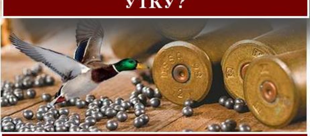 Какой дробью стрелять утку?