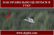 Как правильно целиться в утку?