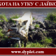Охота на утку с лайкой