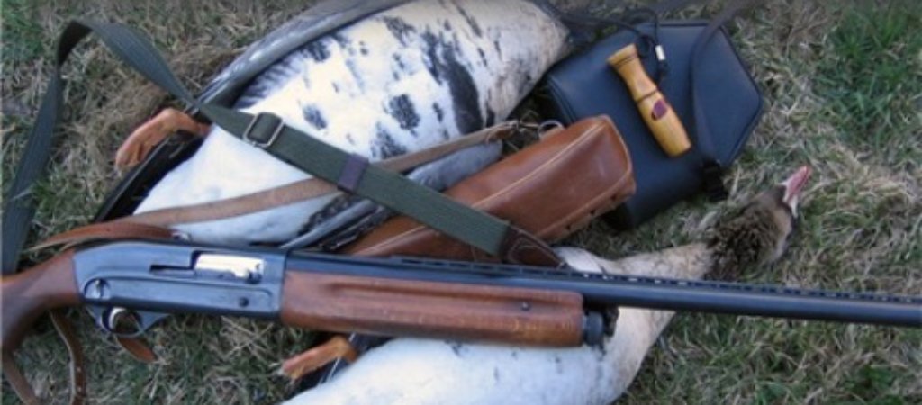 Организация охоты на гуся