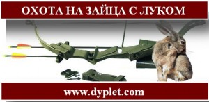 Охота на зайца с луком