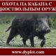 Охота на кабана с гладкоствольным оружием