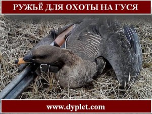 Ружьё для охоты на гуся