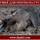 Ружьё для охоты на гуся