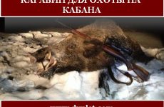 Карабин для охоты на кабана