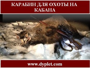 Карабин для охоты на кабана