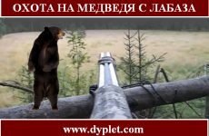 Охота на медведя с лабаза