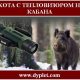 Охота с тепловизором на кабана