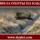 Правила охоты на кабана