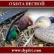 Охота весной. Популярные и разрешённые способы