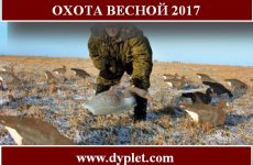 Охота весной 2017. Дата открытия и сроки