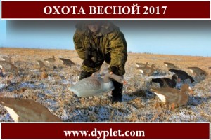 Охота весной 2017
