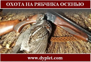 Охота на рябчика осенью
