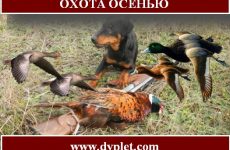 Охота осенью. Самые известные виды и способы