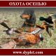 Охота осенью. Самые известные виды и способы