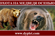 Охота на медведя осенью. Как и что делать?
