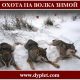 Охота на волка зимой. Как правильно охотиться на волка?