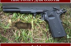 Пистолет для охоты. Модели и характеристики