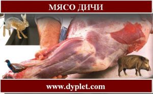 Мясо дичи